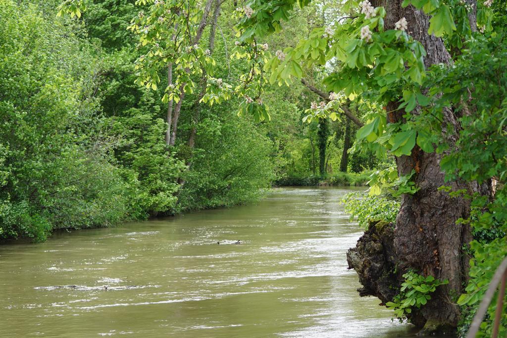 مبيت وإفطار Le Moulin D'Eclaron الغرفة الصورة